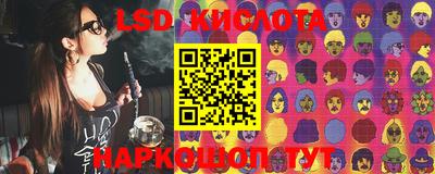 PSILOCYBIN Ирбит